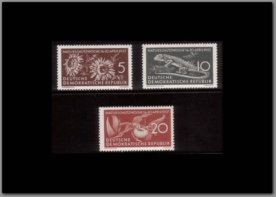 1957-02 - DDR.jpg