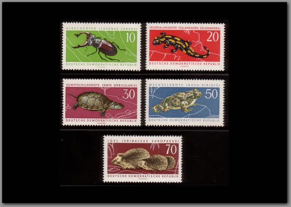 1963-13 - DDR.jpg