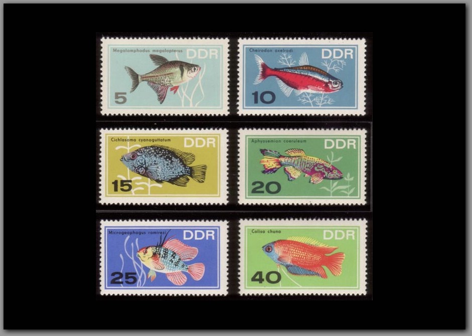 1966-17 - DDR.jpg