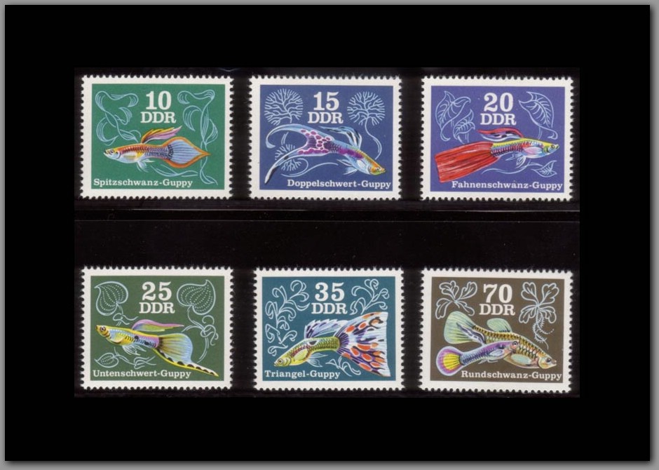 1976-18 - DDR.jpg