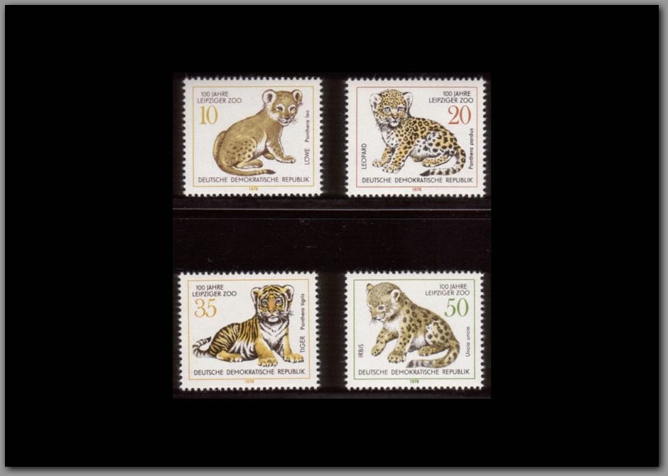 1978-10 - DDR.jpg