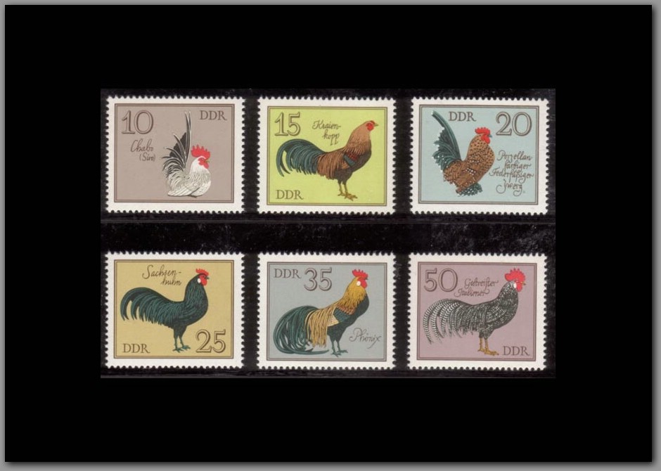 1979-02 - DDR.jpg