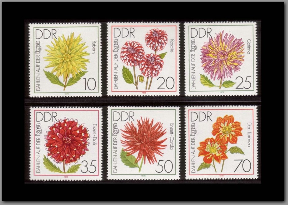 1979-11 - DDR.jpg