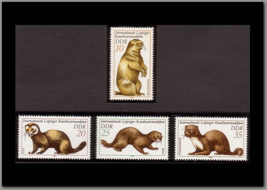 1982-03 - DDR.jpg